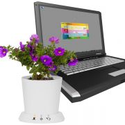 Für Hobbygärtner ohne grünen Daumen: Mit dem USB-Blumentopf gehören vor sich hin mickernde Büropflanzen der Vergangenheit an. Vorgestellt als Spielerei der Woche. Für Hobbygärtner ohne grünen Daumen: Mit dem USB-Blumentopf gehören vor sich hin mickernde Büropflanzen der Vergangenheit an. Vorgestellt als Spielerei der Woche.