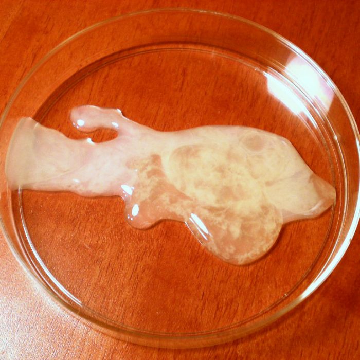 Вытекающая сперма из маленького члена фото