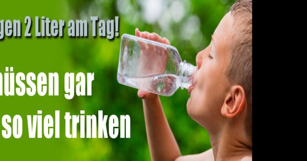 1 liter grüntee am tag