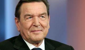 hat die flchtlingspolitik der bundeskanzlerin scharf kritisiert altkanzler gerhard schrder foto - Gerhard Schrder Lebenslauf hat die flchtlingspolitik der bundeskanzlerin scharf kritisiert altkanzler gerhard schrder foto - Gerhard Schrder Lebenslauf