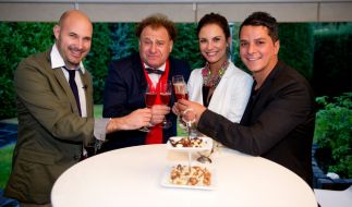 Das Perfekte Promi Dinner Wiederholung