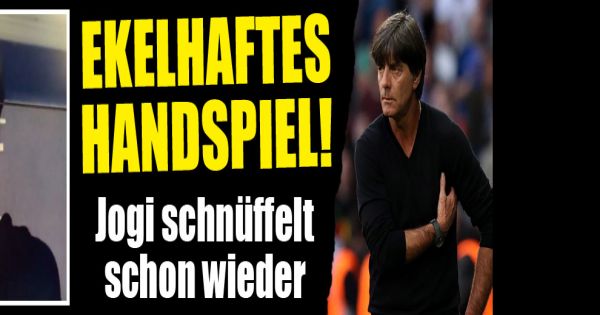 Handspiel Löw Handspiel Löw