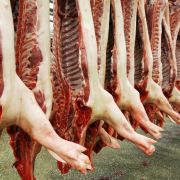 Gelatine ist ein Abfallprodukt der Fleischindustrie und wird aus Knochen gewonnen. Gelatine ist ein Abfallprodukt der Fleischindustrie und wird aus Knochen gewonnen.