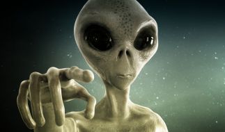 Alien Nachrichten Aktuell Alien Nachrichten Aktuell