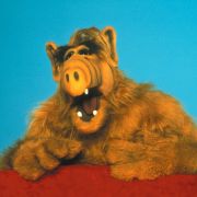 Tommi Piper lent his voice to the German version of the cult figure Alf.