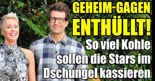 Dschungelcamp 2019 News