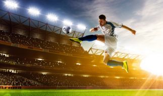 zwickau hsv live stream zwickau hsv live stream