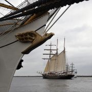 Bis zum 12. August dreht sich in Rostock alles um Schiffe - jährlich strömen rund eine Million Besucher zur Hanse Sail. Bis zum 12. August dreht sich in Rostock alles um Schiffe - jährlich strömen rund eine Million Besucher zur Hanse Sail.