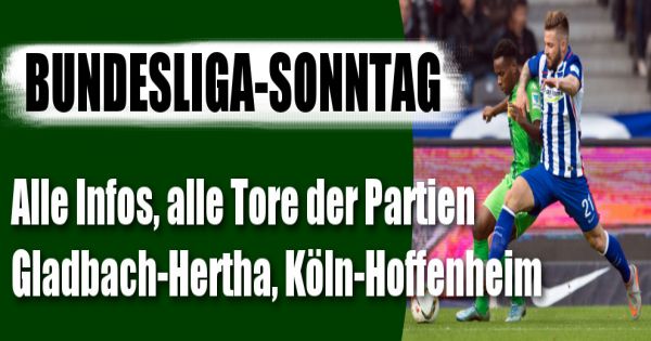 buli ergebnisse heute buli ergebnisse heute