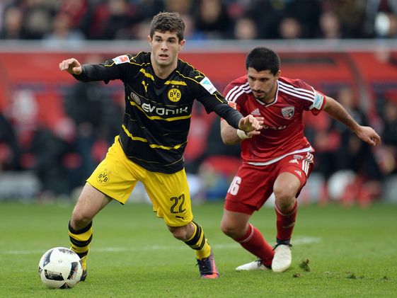 bvb ingolstadt bvb ingolstadt