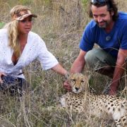Die Katze kann den Kuscheleinheiten mit Geparden gar nichts abgewinnen, ihre Freundin Rebecca (links) dagegen schon. Die Katze kann den Kuscheleinheiten mit Geparden gar nichts abgewinnen, ihre Freundin Rebecca (links) dagegen schon.