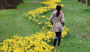 Der kalendarische Frühlingsbeginn am 20. März ist ein deutliches Zeichen, dass der Winter der neu erwachenden Natur Platz macht.