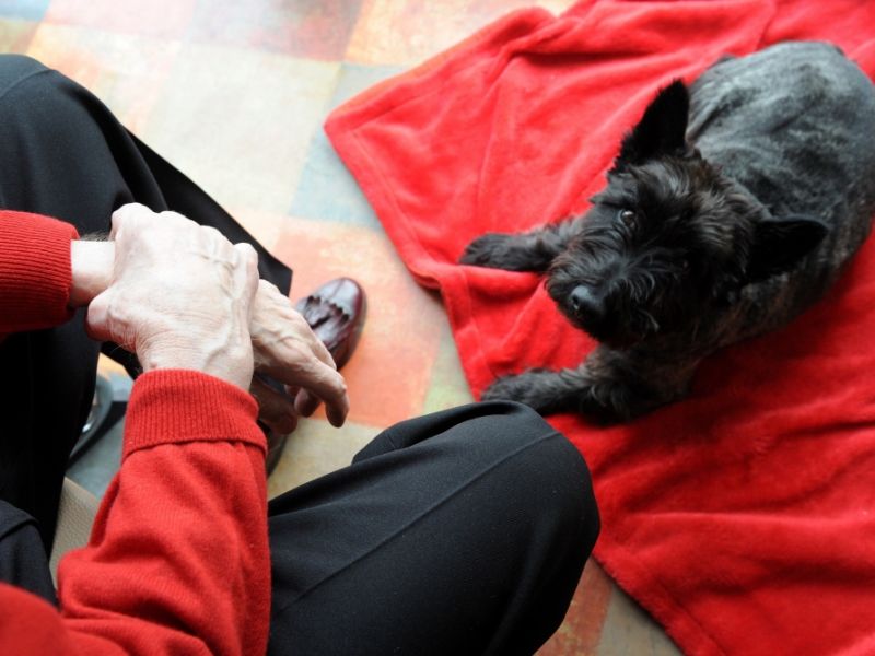 7 tage unter prostituierten geschlechtsverkehr mit hund 7 tage unter prostituierten geschlechtsverkehr mit hund