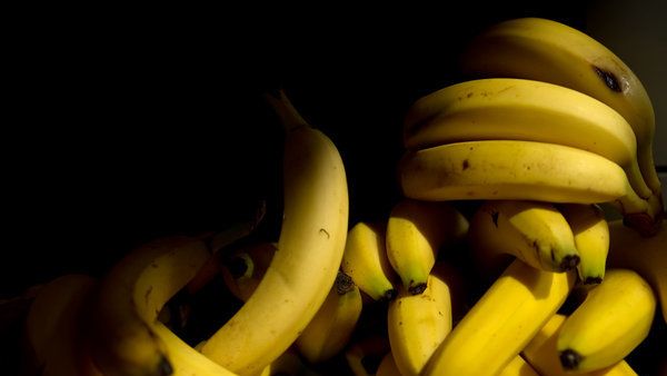 http www news de fotostrecke 850703071 die bilder des tages 1 die banane sie koennte 856663240 704x396 f2fda5ff1e41e41ab7f7a3be9ba61427 jpg images 72 a6 36c9a41571cca5de646f003394d5 jpg nopic no pic jpg 704 396 1 0 0