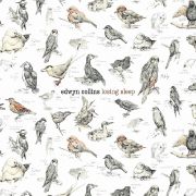 Nach zwei Schlaganfällen kraftvoll zurück: Edwyn Collins mit Losing sleep. Nach zwei Schlaganfällen kraftvoll zurück: Edwyn Collins mit Losing sleep.