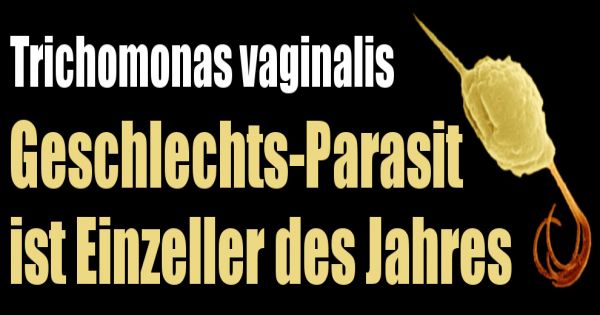 Wie den Organismus von den Würmern die Medikamente zu reinigen