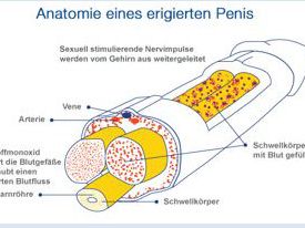 Bad die Wiederherstellung der Potenz