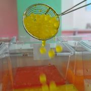 Giftiger Glibber: In den aromatisierten Tapioka-Kugeln in Bubble Tea haben Wissenschaftler Giftstoffe gefunden. Giftiger Glibber: In den aromatisierten Tapioka-Kugeln in Bubble Tea haben Wissenschaftler Giftstoffe gefunden.