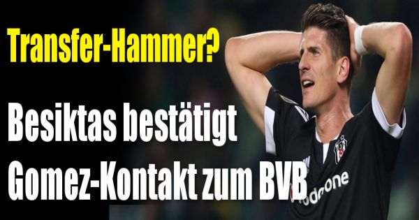 transfer news bvb aktuell transfer news bvb aktuell