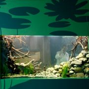 In der Grube Messel können große und kleine Entdecker auf Forschungsreise gehen - Fossilienfunde inklusive. In der Grube Messel können große und kleine Entdecker auf Forschungsreise gehen - Fossilienfunde inklusive.