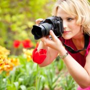 Welche Tulpe soll die scharfe sein? Das können Lichtfeldfotografen künftig in aller Ruhe später entscheiden. Welche Tulpe soll die scharfe sein? Das können Lichtfeldfotografen künftig in aller Ruhe später entscheiden.