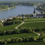 Malerische Weinberge in Rheinhessen - die perfekte Kulisse zum Wandern, Radfahren und Genießen. Malerische Weinberge in Rheinhessen - die perfekte Kulisse zum Wandern, Radfahren und Genießen.