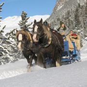 Nicht nur für Romantiker: Eine Fahrt im Pferdeschlitten durch die malerische Winterlandschaft der Schweiz. Nicht nur für Romantiker: Eine Fahrt im Pferdeschlitten durch die malerische Winterlandschaft der Schweiz.