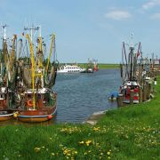 Nord- und Ostsee laden im Frühjahr zu Wattwanderungen, Fahrradtouren und Strandspaziergängen ein. Nord- und Ostsee laden im Frühjahr zu Wattwanderungen, Fahrradtouren und Strandspaziergängen ein.