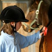 Für Familien stehen viele Möglichkeiten zur Auswahl, wie ein Kurzurlaub auf dem Reiterhof. Für Familien stehen viele Möglichkeiten zur Auswahl, wie ein Kurzurlaub auf dem Reiterhof.