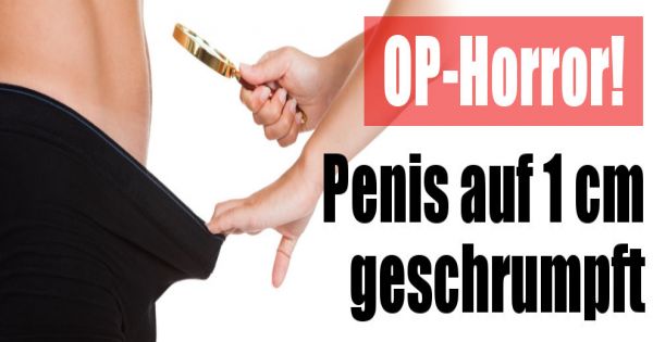Die Scheiden für die kleinen Mitglieder