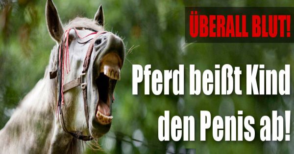 Die größten kleinen Mitglieder in der Welt