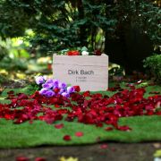 Rote Rosenblätter schmücken die letzte Ruhestätte des Schauspielers Dirk Bach. Rote Rosenblätter schmücken die letzte Ruhestätte des Schauspielers Dirk Bach.
