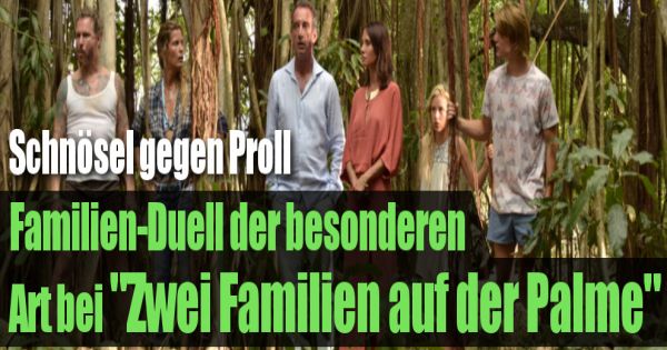 Zwei Familien Auf Der Palme Stream Zwei Familien Auf Der Palme Stream