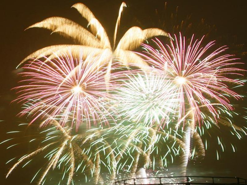 silvester milionen silvester milionen