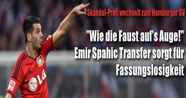 hsv news transfer hsv news transfer
