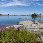 Auch Sportbegeisterte und Naturliebhaber kommen in Stockholm auf ihre Kosten. Auch Sportbegeisterte und Naturliebhaber kommen in Stockholm auf ihre Kosten.