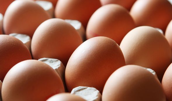 http www news de reisen und leben 855671208 horoskop 01 08 17 verbraucher insektizid fipronil eier handel symbolfoto 856631905 672x395 311835ee708df82bcce3e3c362e25223 jpg images 3b b4 36b18a405b478bcce95474887f76 jpg