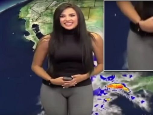 Mexikanische Wetterfee Mexikanische Wetterfee
