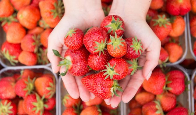 Wie gesund sind Erdbeeren wirklich?