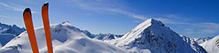 Winter-Wisser (Bild)