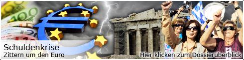 Der Euro in der Krise
