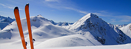 Dossier: Winter-Wisser