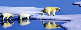 Dossier: Klimawandel