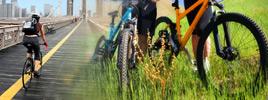 Dossier: Eine runde Sache