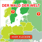 Der Wald der Welt
