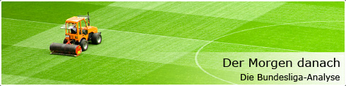 Bundesliga-Analyse