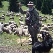 Essen Thüringer wirklich Hunde? (Foto)