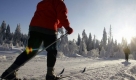 Die gesndeste Wintersportart berhaupt: Skilanglauf ist die Verbindung von Naturerlebnis und sportlicher Bettigung. Die Intensitt bestimmen Sie ber das Tempo selbst. Foto: ddp