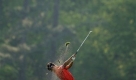 Ryo Ishikawa of Japan hits from the from the 14th fairway during the first round of the Masters golf tournament at the Augusta National Golf Club in Augusta, Ga., Thursday, April 9, 2009. (AP Photo/Chris O'Meara) Foto: ap