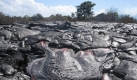Der Kilauea Vulkan auf Hawai ist derzeit unruhig. Ein Lavastrom fließt eine Straße entlang. Die Behörden glauben aber nicht, dass eine nahgelegene Aussichtsplattform betroffen sein wird, da der Lavastrom am Versiegen ist. Foto: ap